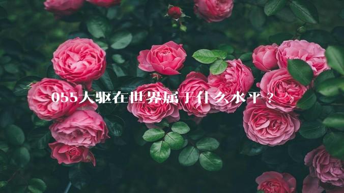 055大驱在世界属于什么水平?